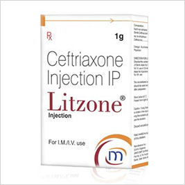 LITZONE