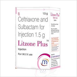 LITZONE PLUS