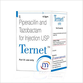 TERNET 4.5 GM